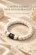 Ivory-colored carved bead bracelet with a black textured centerpiece and antique-gold-tone details